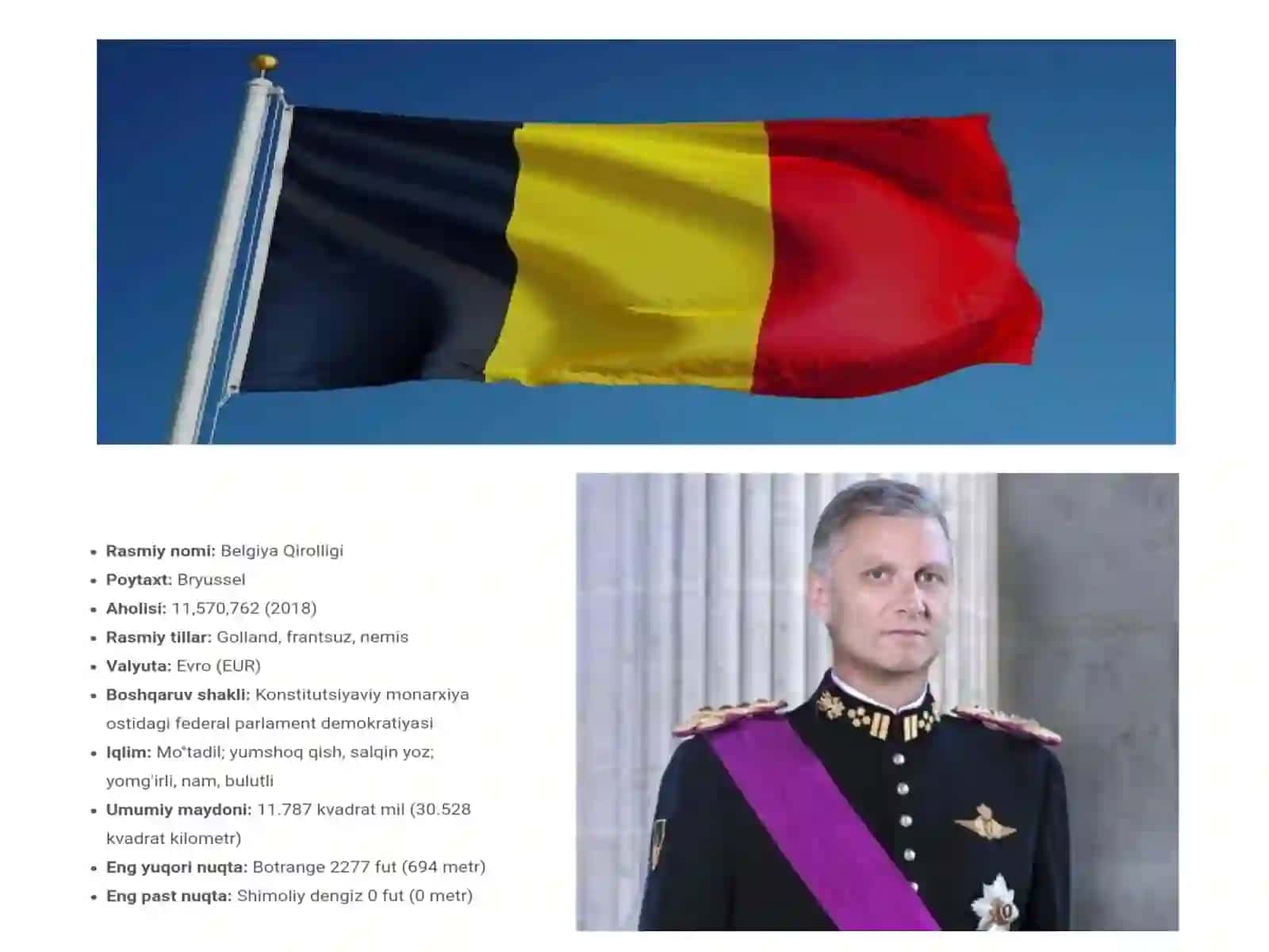 Belgiya qirolligining ijtimoiy hayoti va siyosati 2