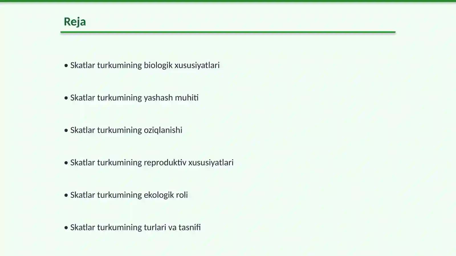 Skatlar turkumini oʻrganish 2
