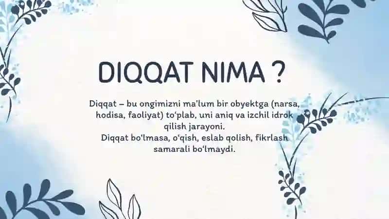 Diqqat Turlari 2