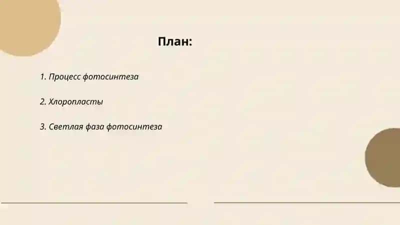 Фотосинтез 2