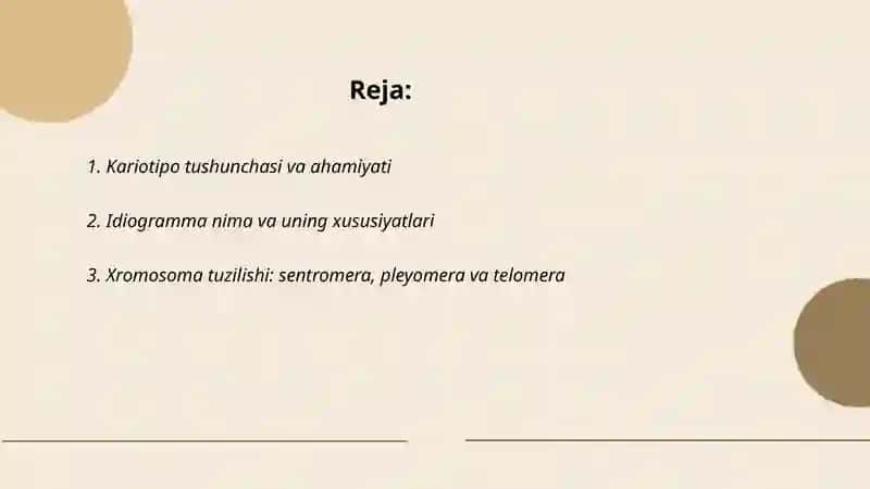 Organizmlarning kariotipi va idiogrammasi 2