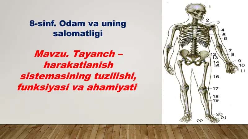 Biologiya fanidantezislar to'plami 2