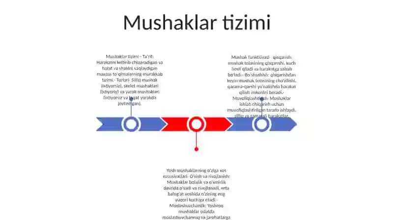 Mushaklar tizimi 2