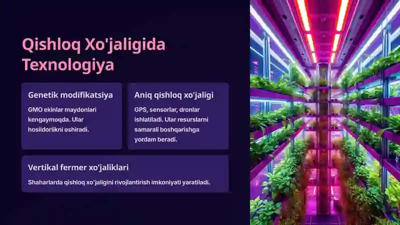 Go'sht qoramollari 2
