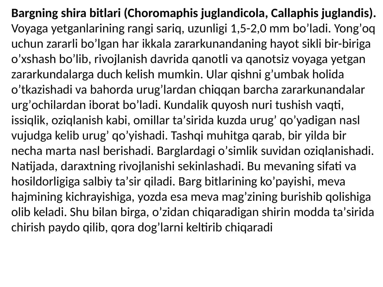 Barglarning shirabitlari 2