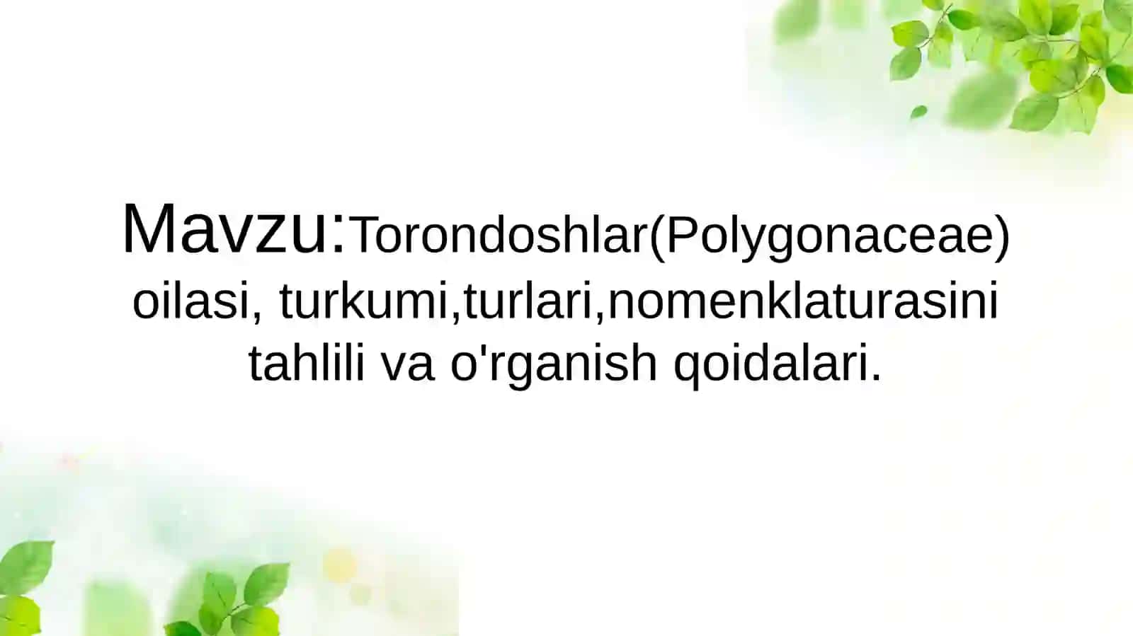 Torondoshlar(Polygonaceae) oilasi 2
