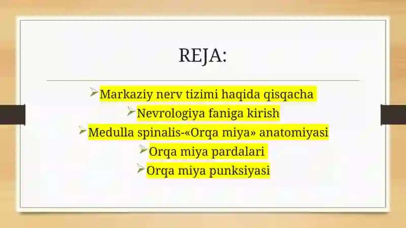 Markaziynervtizimi haqida qisqacha 2