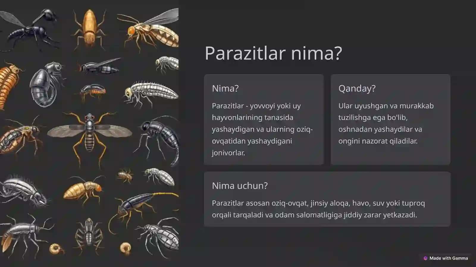 Parazitalogiya 2