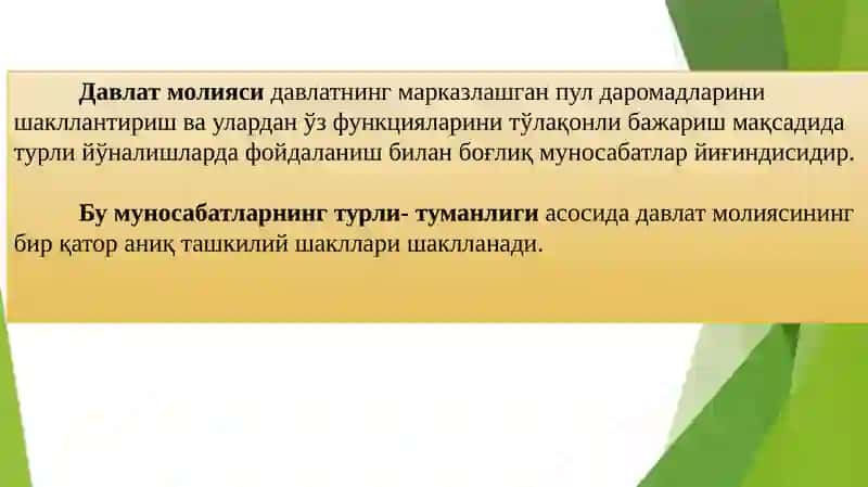 ДАВЛАТ МОЛИЯСИНИНГ МОҲИЯТИ ВА АҲАМИЯТИ 2