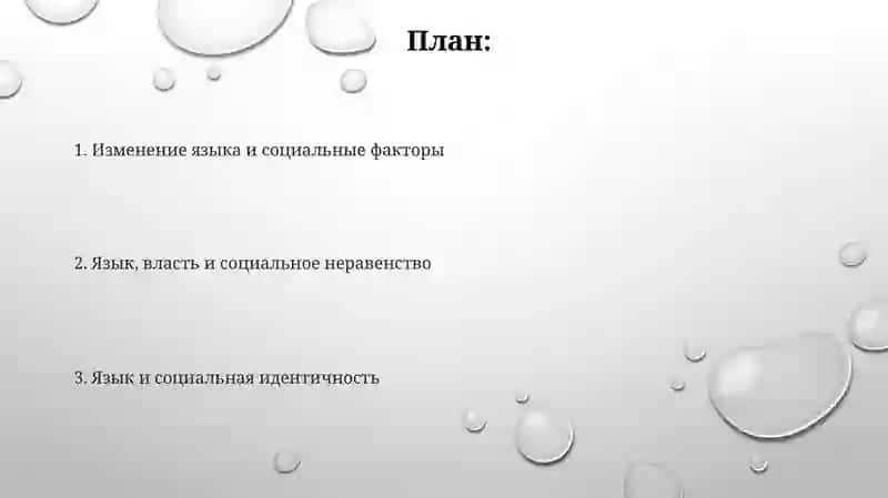Язык как общественное явление 2