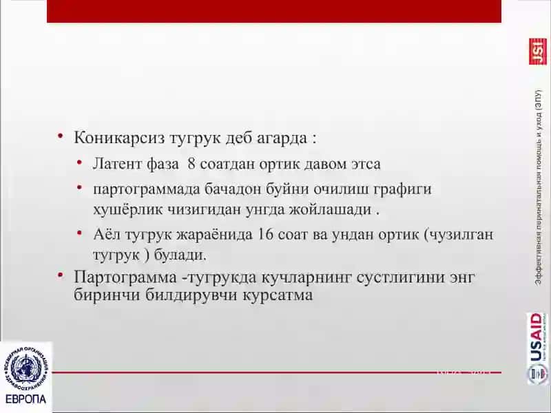 Коникарсиз тугрук 2