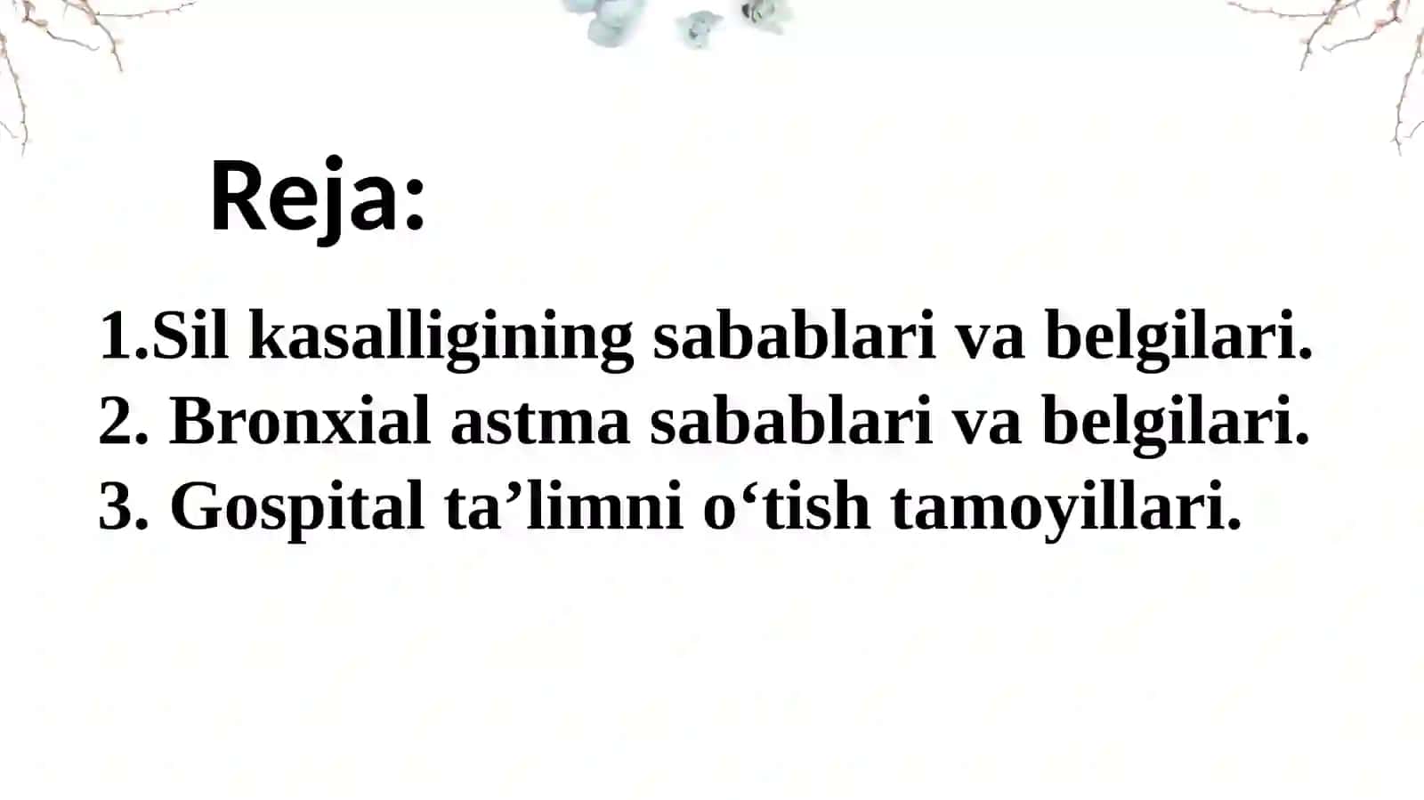 Oʻzbek adabiy til meʼyorlari 2