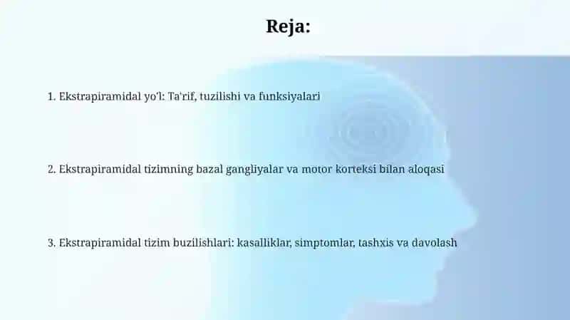 Ekstrapiramidal yo'l 2