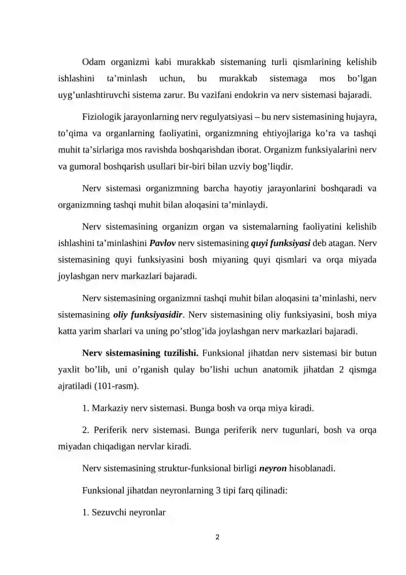 Nerv sistemasining ahamiyati va tuzilishi 2
