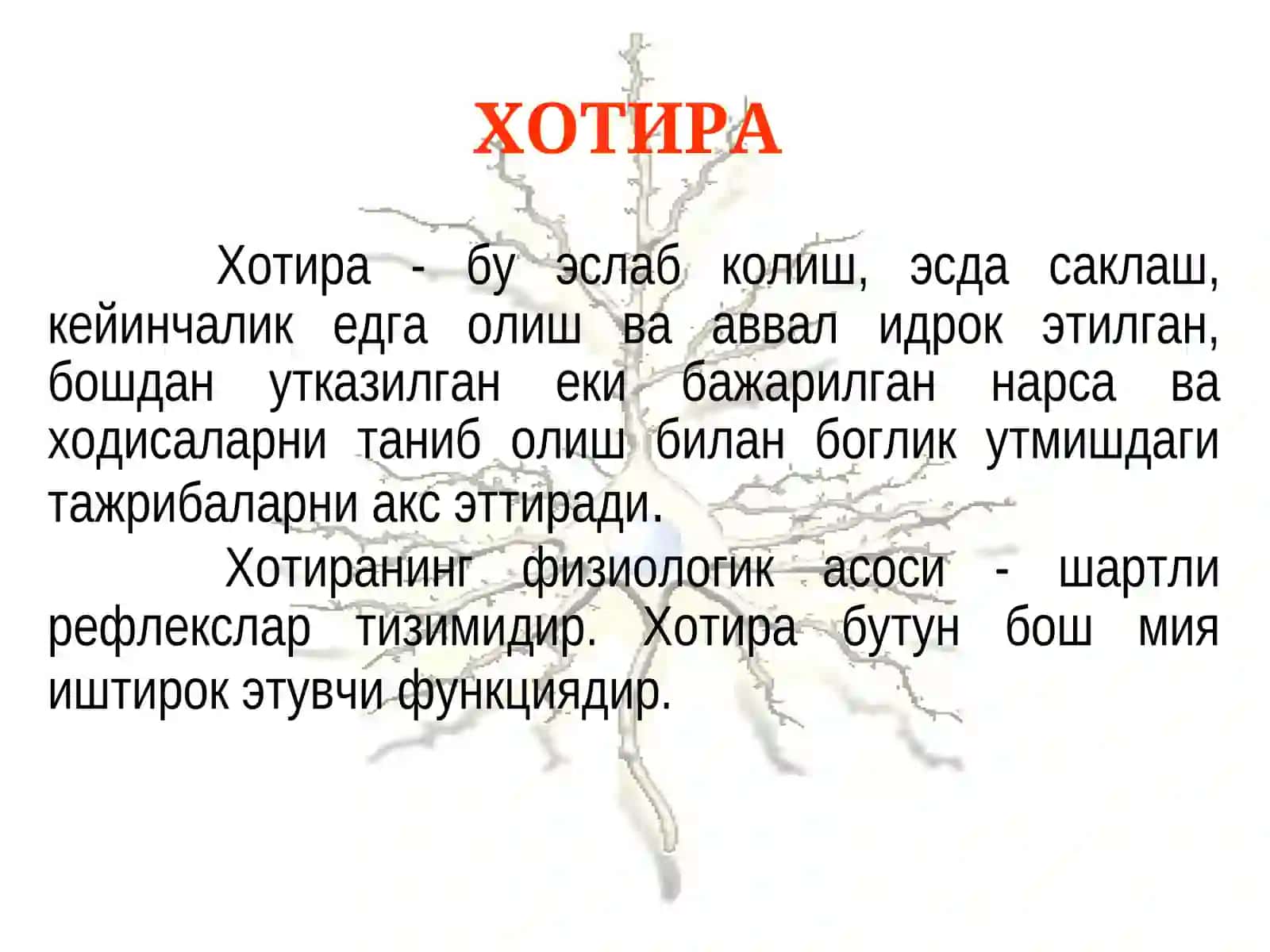 Психиатрия 2
