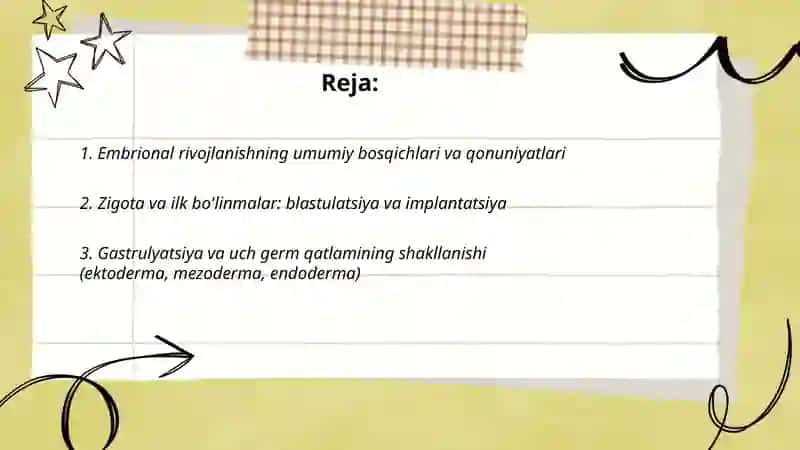Embriologiya 2