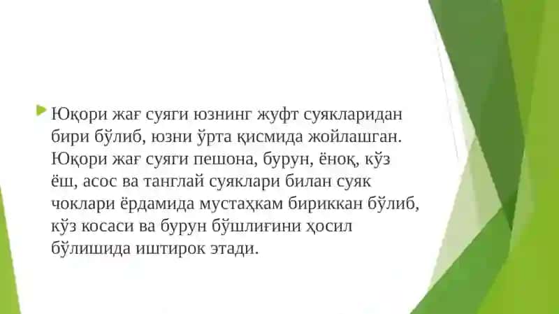 Yuqori jag’ning sinishi 2