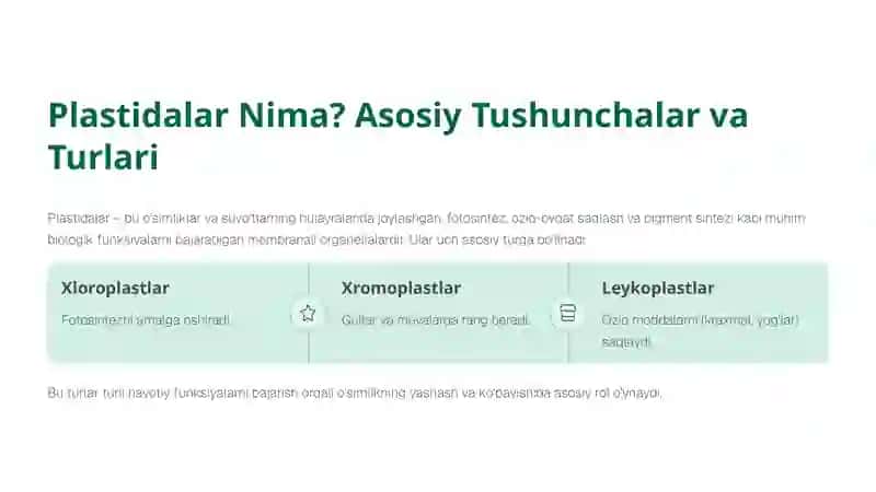 Plastidalarning Ahamiyati: Hayotni Yaratuvchi Kuch 2