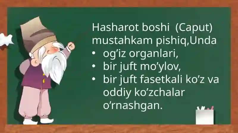 HASHAROTLAR BOSHBO'LIMINING TUZILISHI 2