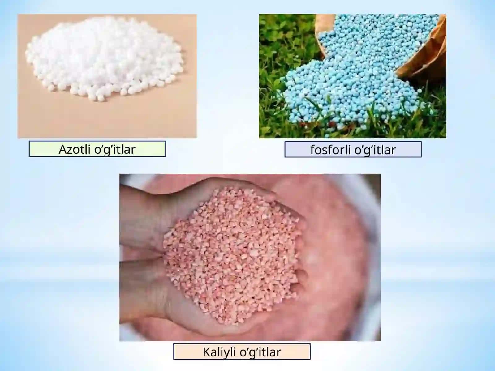 Organik va Mineral O‘g‘itlarni Yetishtirish 2