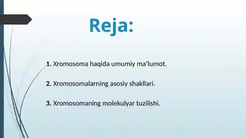 Xromosoma. Xromosomalarning molekulyar tuzilishi 2