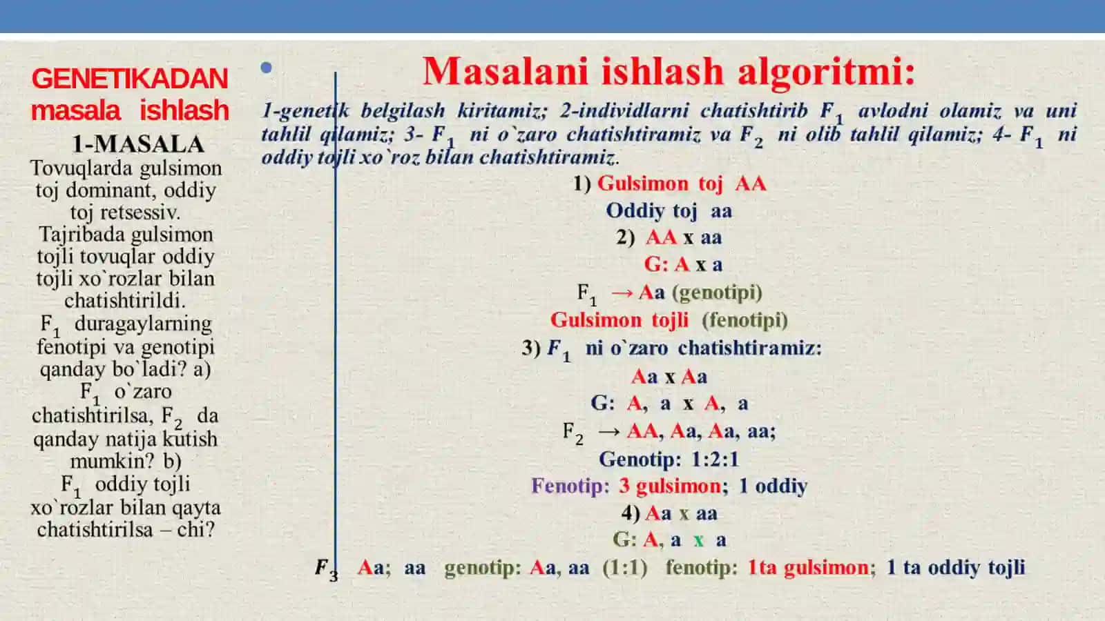 GENETIKADAN MASALA ISHLASH 2
