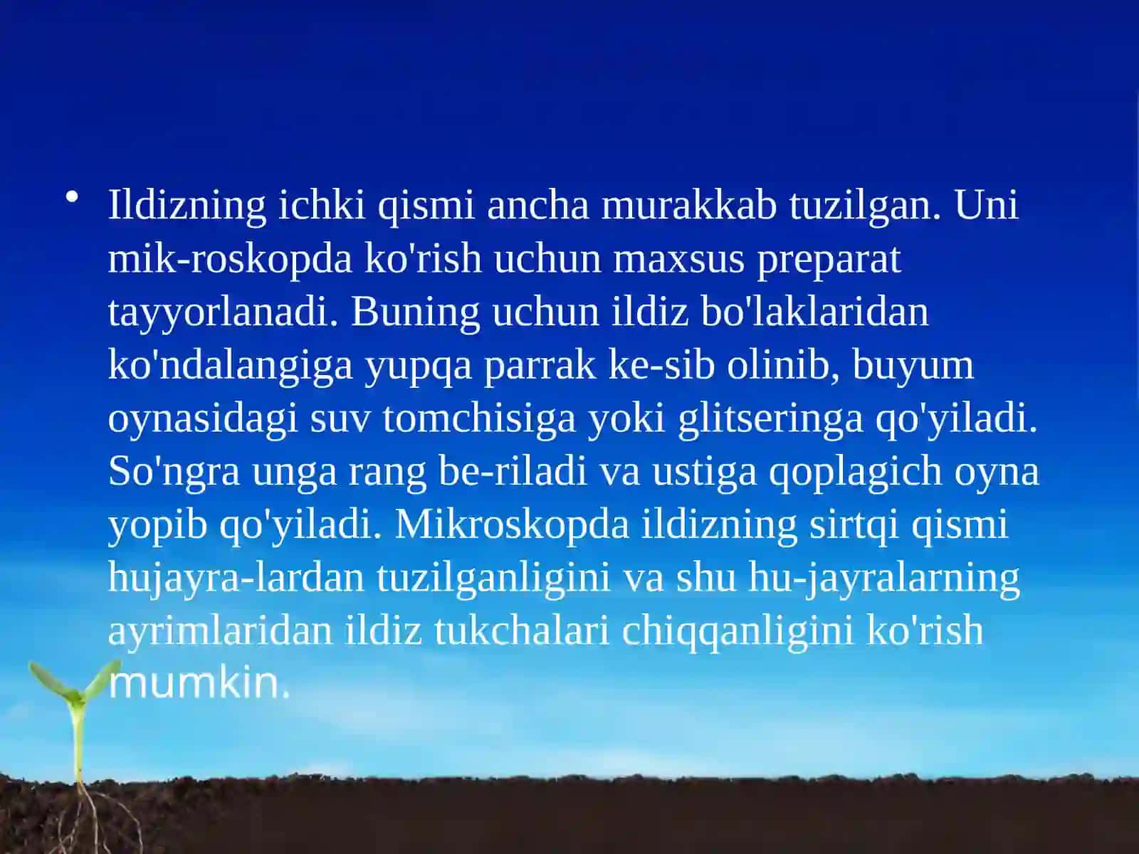 6-sinf Botanika Ildizning ichki tuzilishi 2
