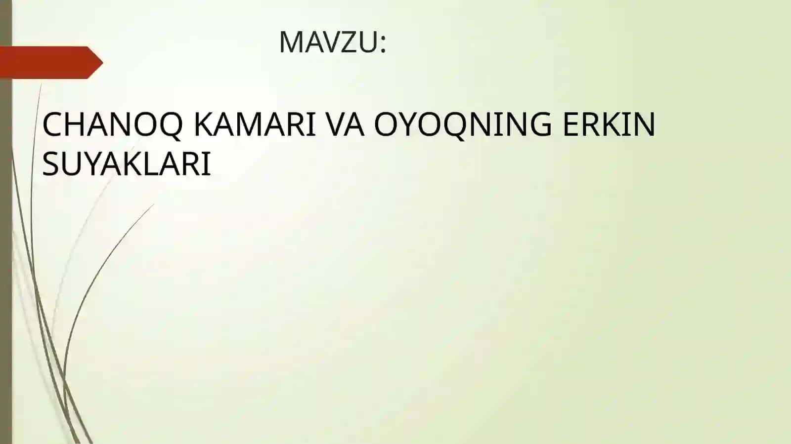 Chanoq kamari va oyoqning erkin suyaklari 2