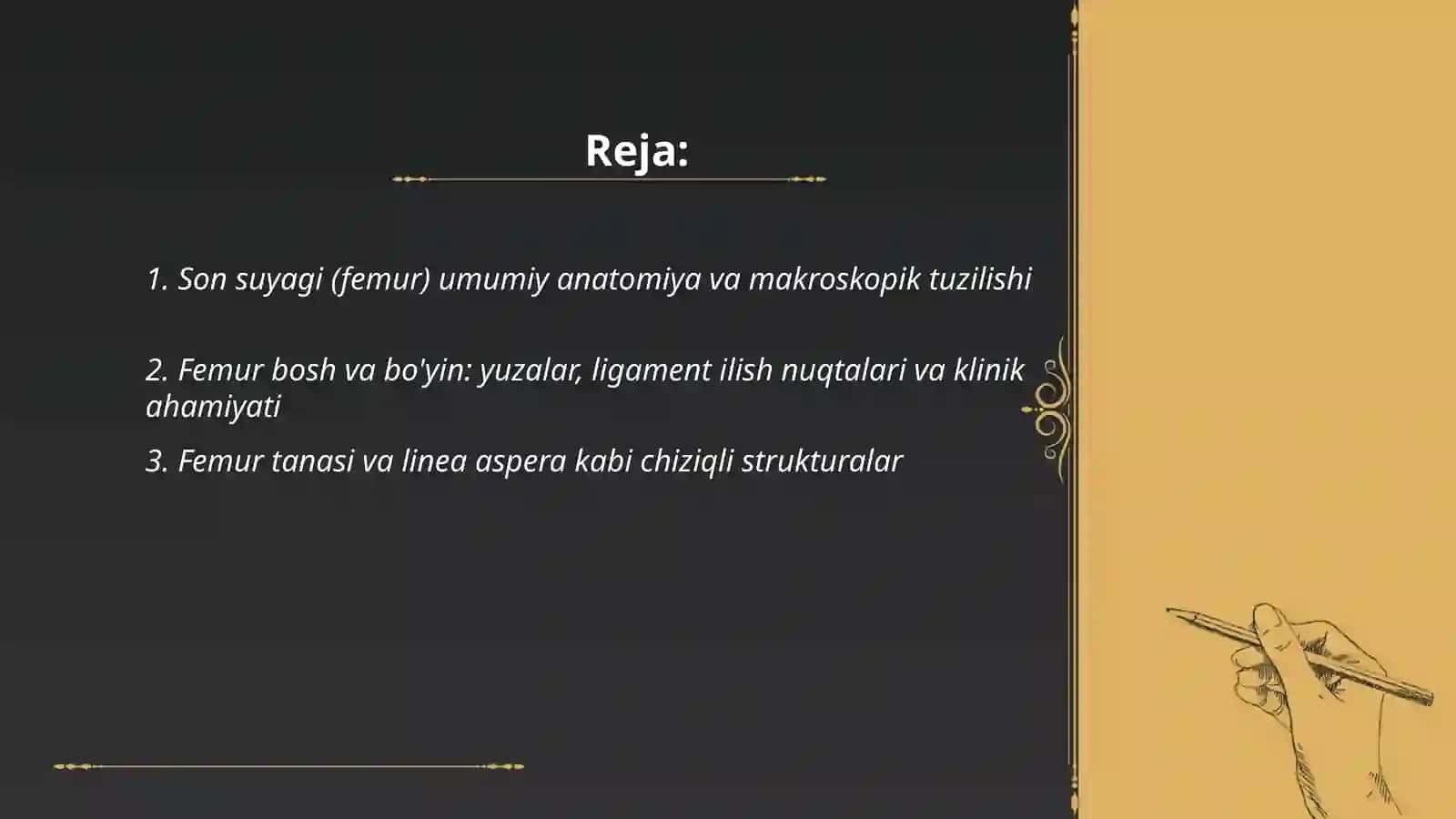Son boldir, Oyoq kaft usti suyaklarining anatomiyasi 2