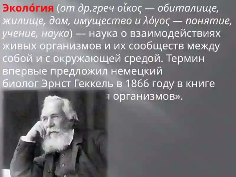 Экология 2