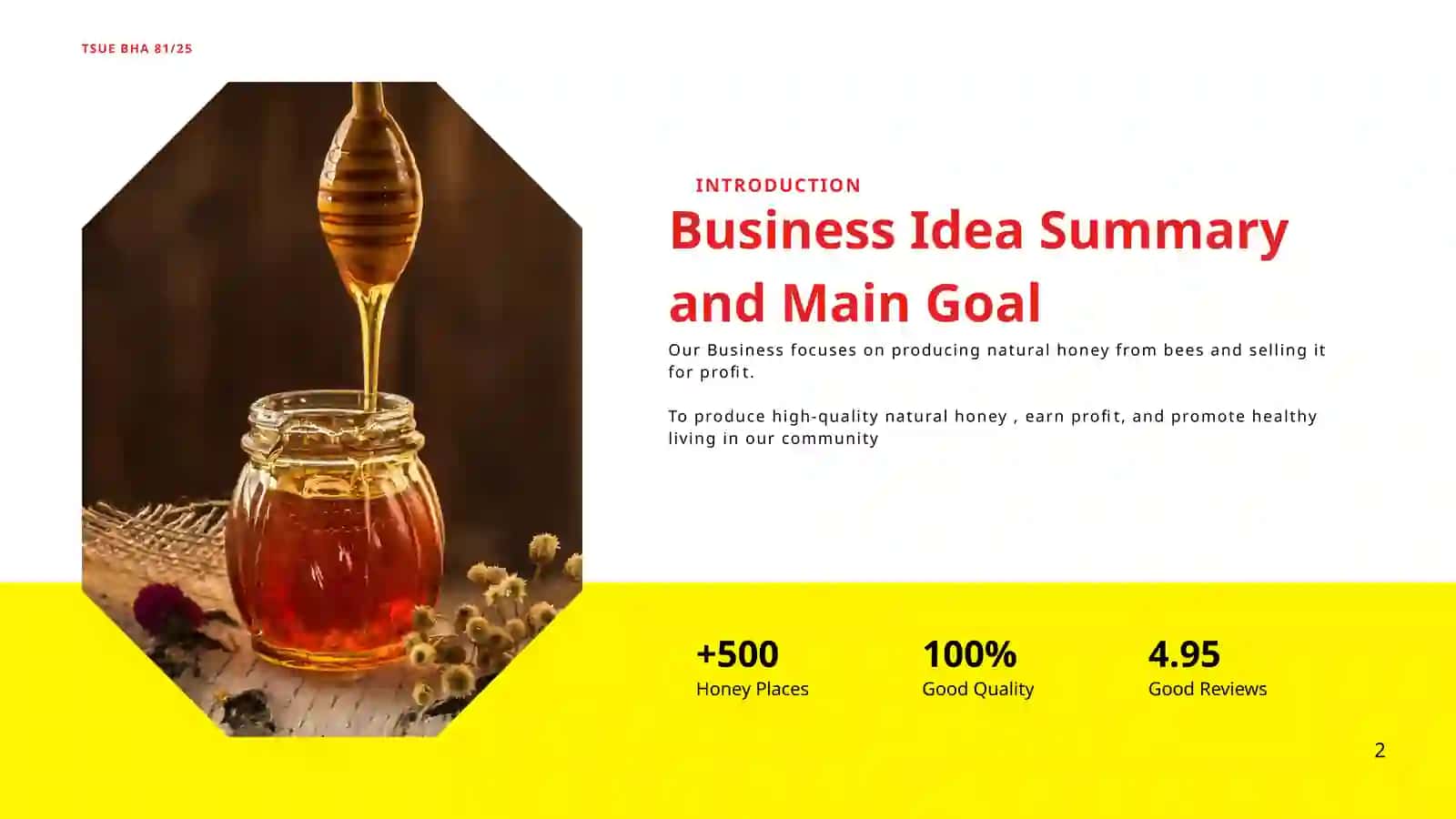 HONEY PRODUCTION BUSINESS PLAN 2