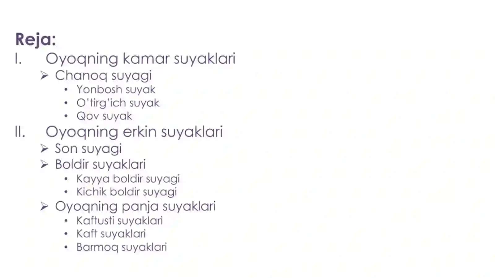 oyoq suyaklari 2
