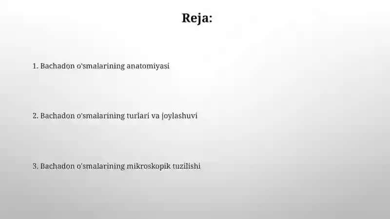 Bachadon oʻsmalari anatomiya 2