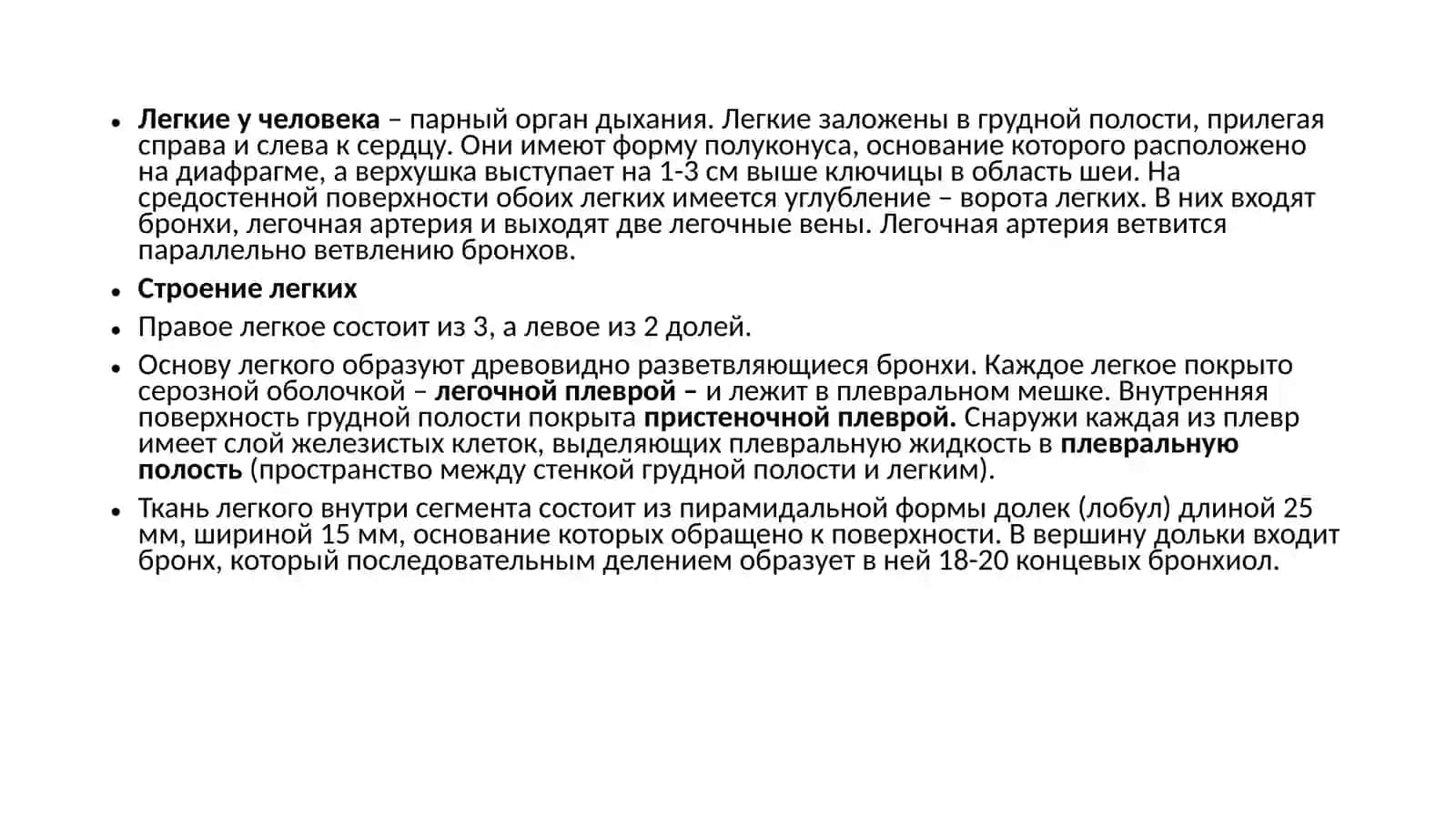 Лёгкие. Строение и функции 2