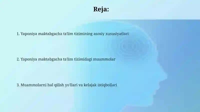 Yaponiyada maktabgacha ta'lim tizimi va undagi muammolar 2