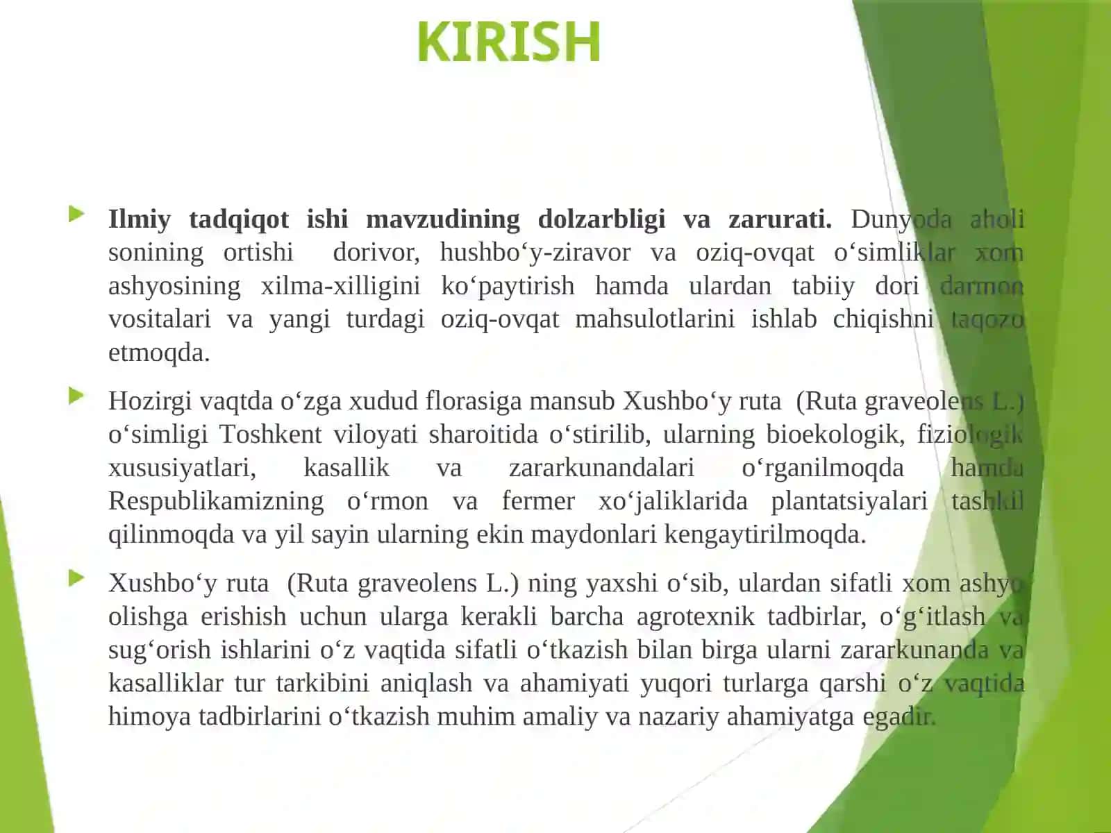 Xushbo‘y ruta (Ruta graveolens L.) 2