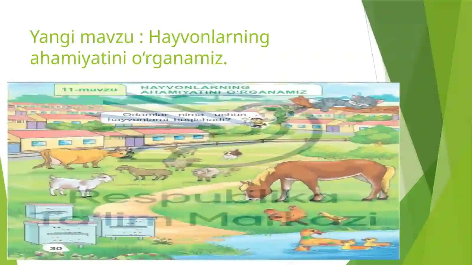 Hayvonlarning ahamiyatini o‘rganamiz 2