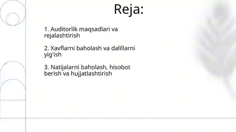 Moliyaviy natiijalar to'g'risidagi hisob-otauditini o'tkazish tartibi 2