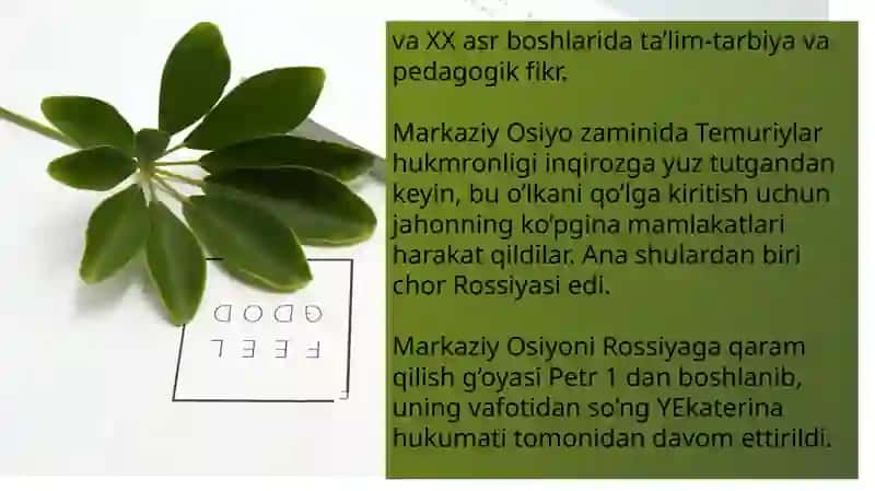 XX asrda ta'lim va tarbiya 2