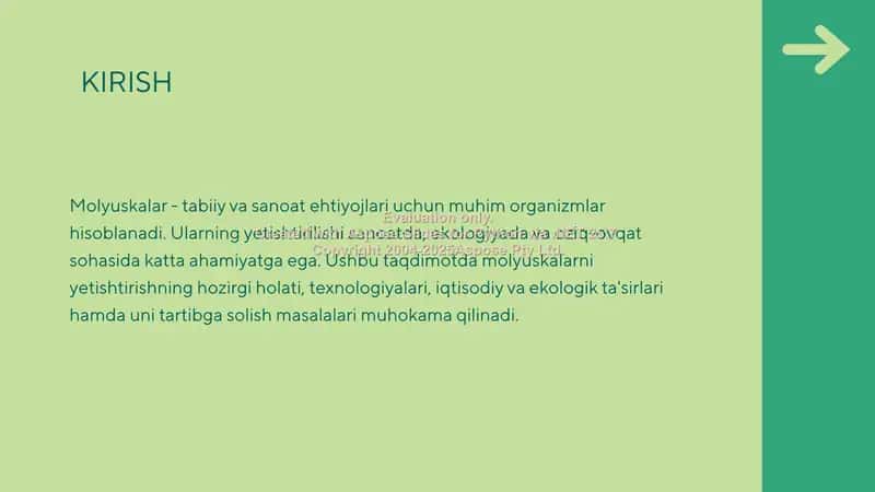 Molyuskalar va Ularning Ahamiyati 2