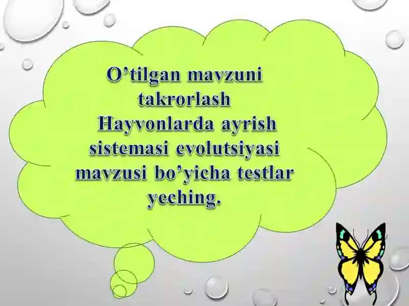 Hayvonlar jinsiy organlarining evolyutsiyasi 2