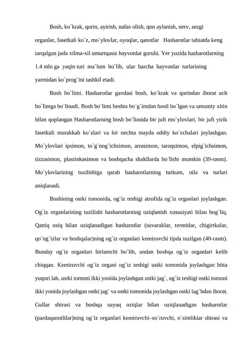 Hasharotlar sistematikasi 2