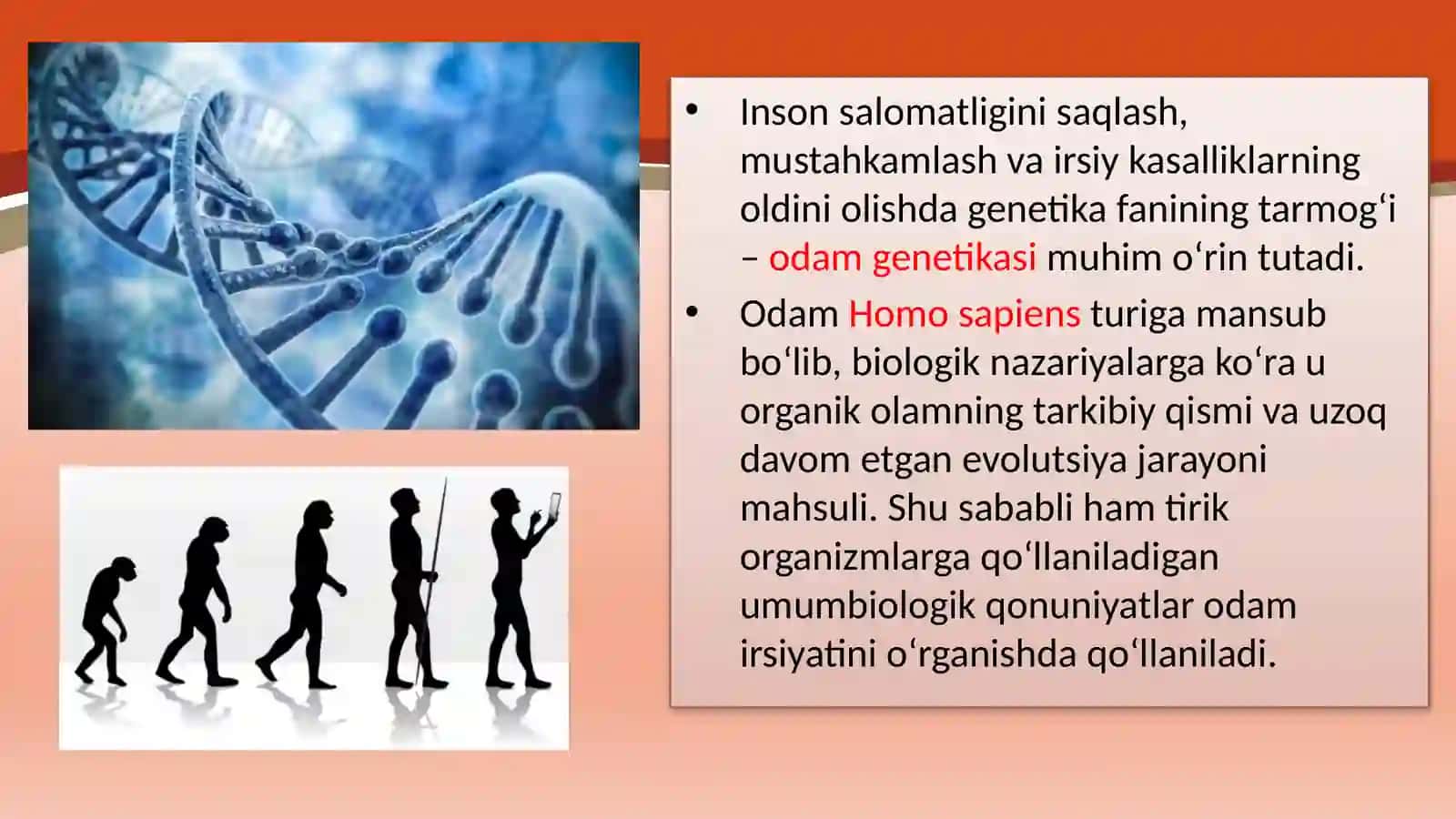 Genetikavainsonsalomatligi 2