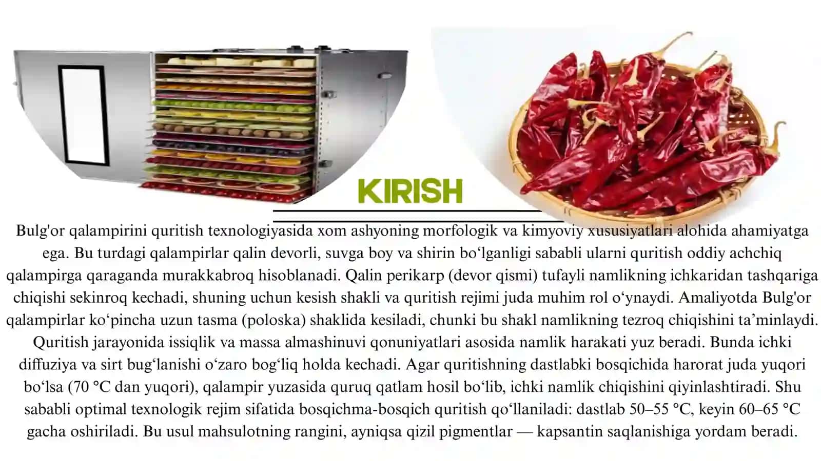 BULGʻOR QALAMPIRI QURITISH TEXNALOGIYASI 2