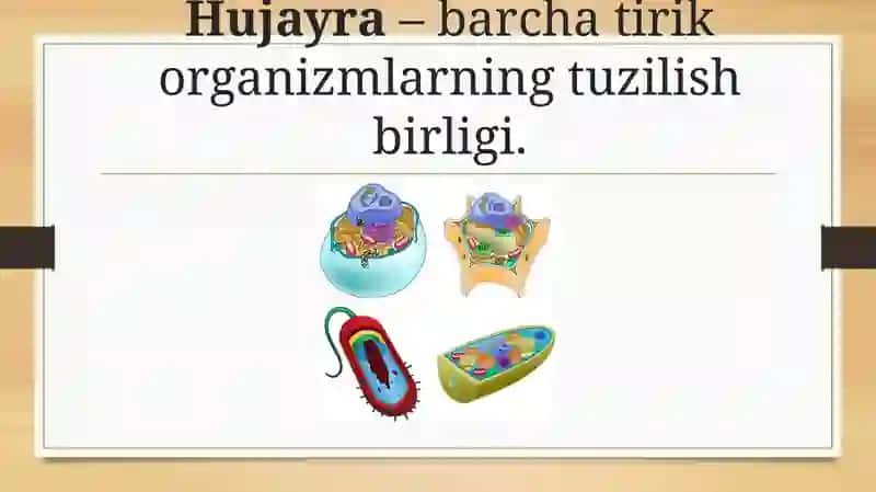 TIRIK ORGANIZMLARNING TUZILISHI 2