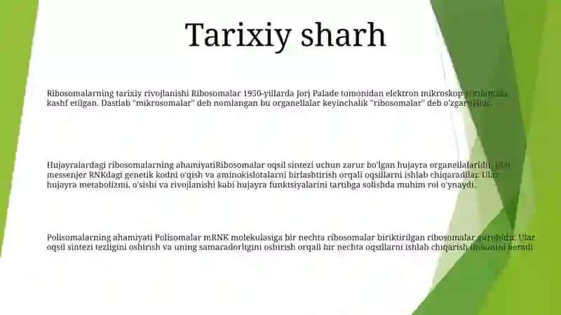 Ribosomalar Polisomalar Ularning Ahamiyati 2
