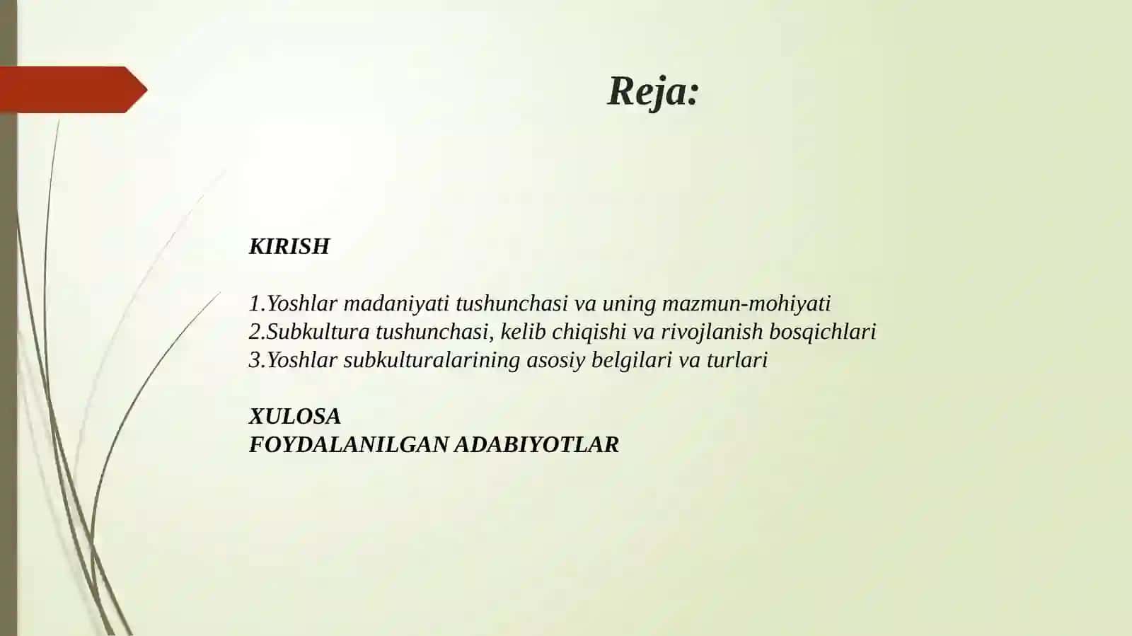 YOSHLAR MADANIYATI SUBKULTURALAR 2