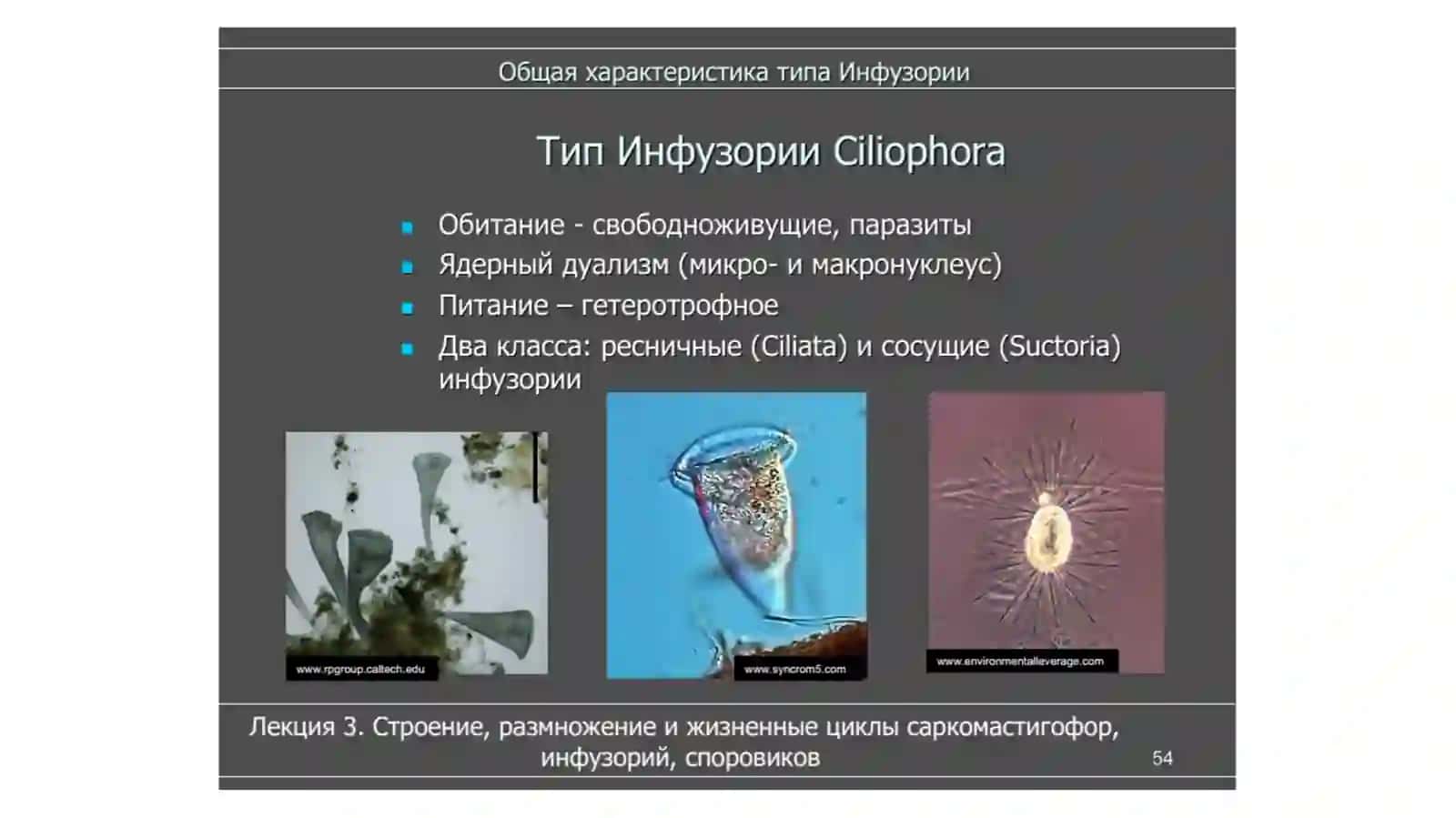 Туфелка 2