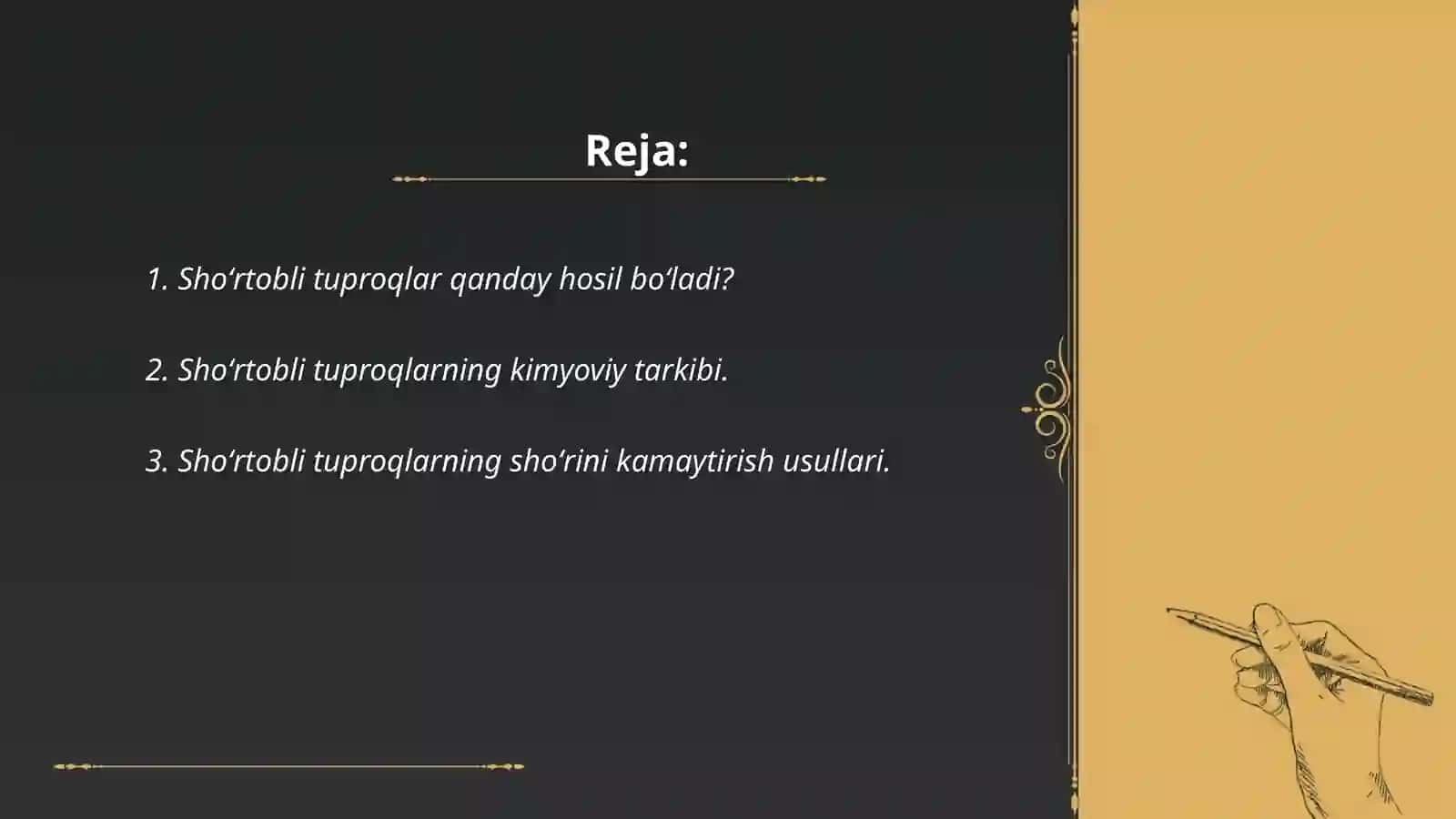 Shoʻrtobli tuproqlar 2