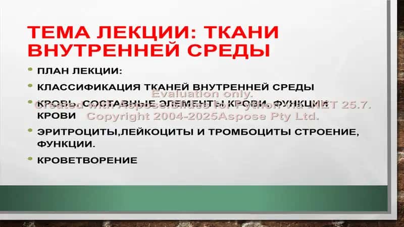 Ткани внутренней среды,. Кровь. Кроветворение 2